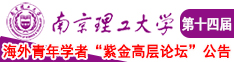免费啊啊啊南京理工大学第十四届海外青年学者紫金论坛诚邀海内外英才！